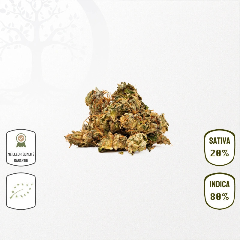 Shiva Skunk Small Bud Bio CBD – Indoor