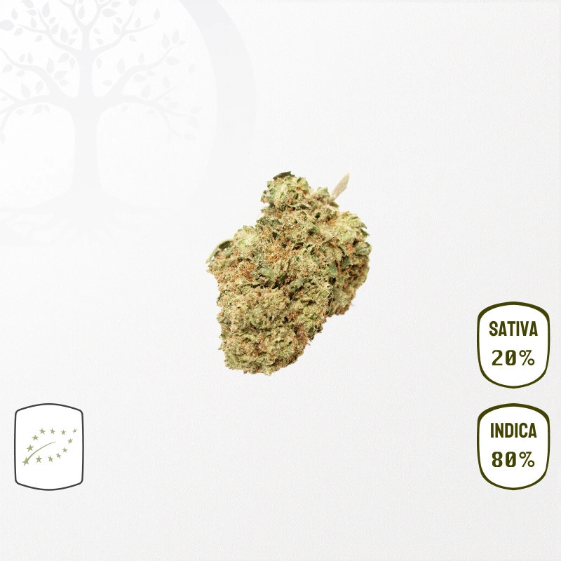 White Widow Kush BIO CBD