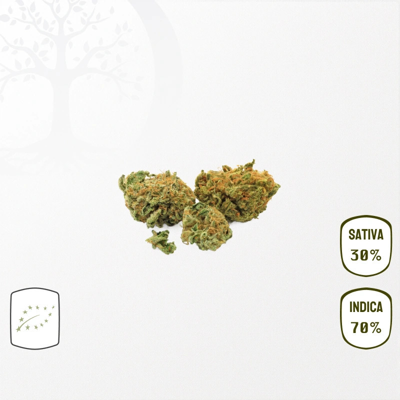 Cookies Kush BIO CBD