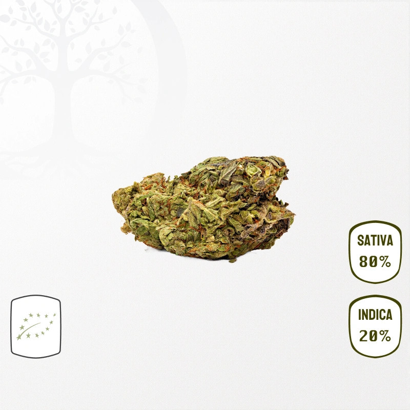 Tropical Haze BIO CBD