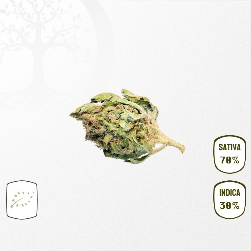 Super Lemon Haze BIO CBD