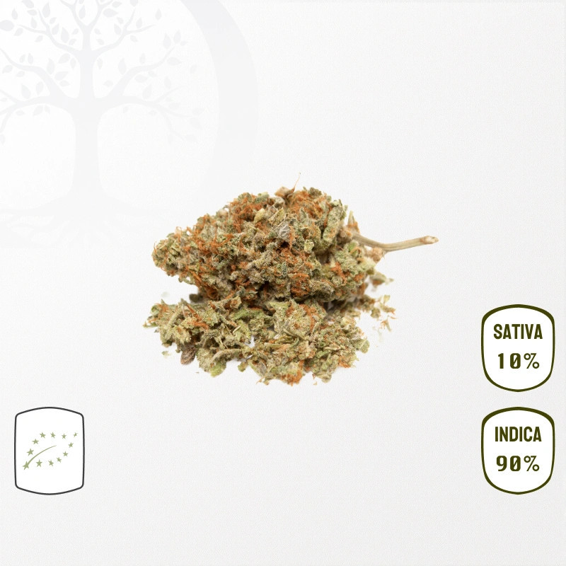 Purple Punch BIO CBD