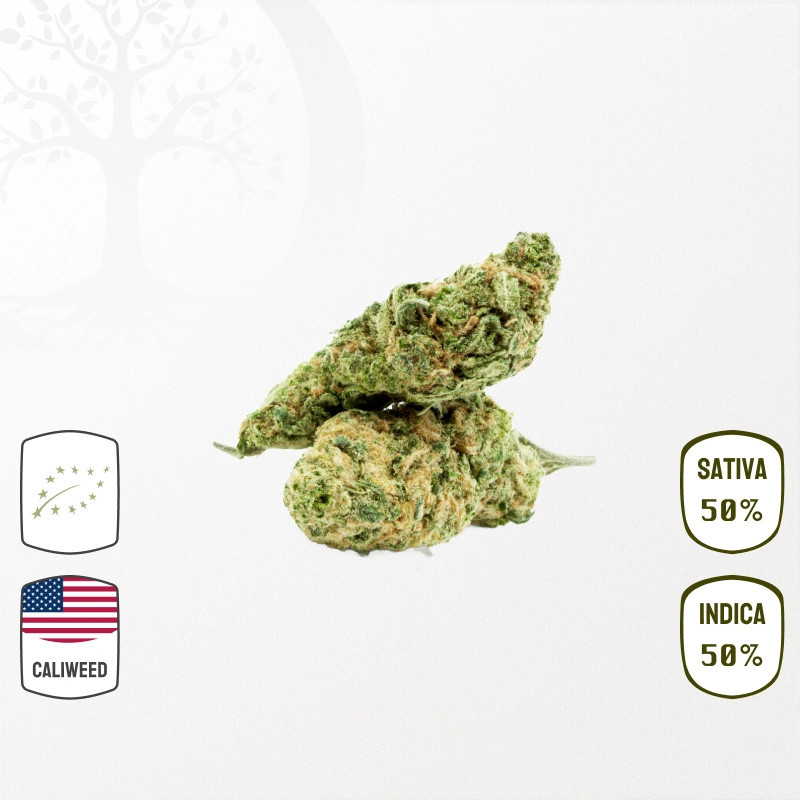 Acheter Royal Runtz Cali Weed Bio CBD - Fleurs CBD Premium