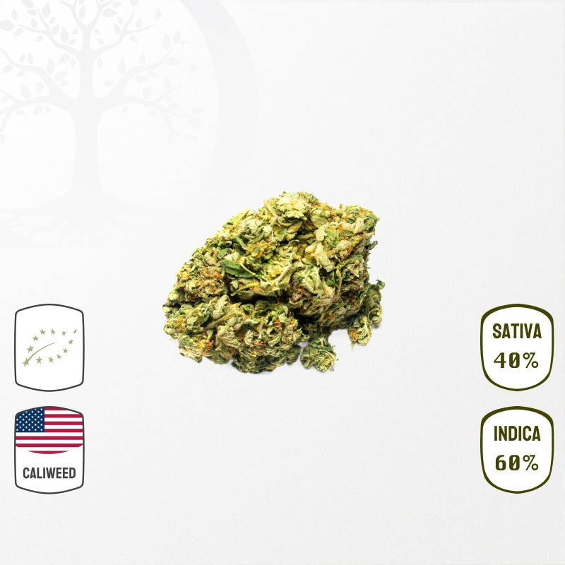 Apple Fritter Cali Weed BIO CBD