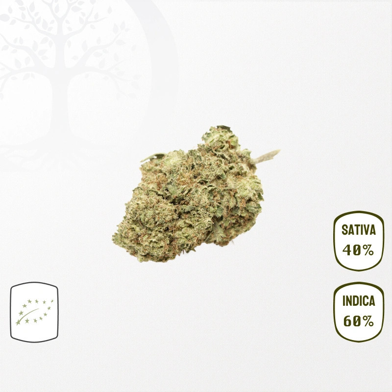 Hawaiian Skunk BIO CBD