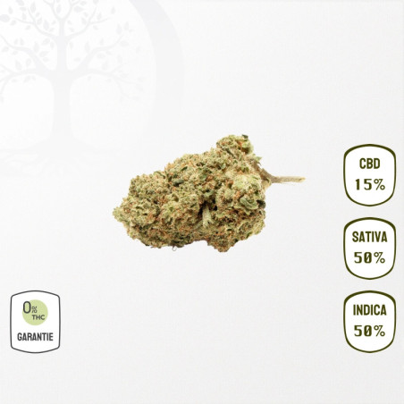 Jack Herer 15 % CBD (Sans THC)