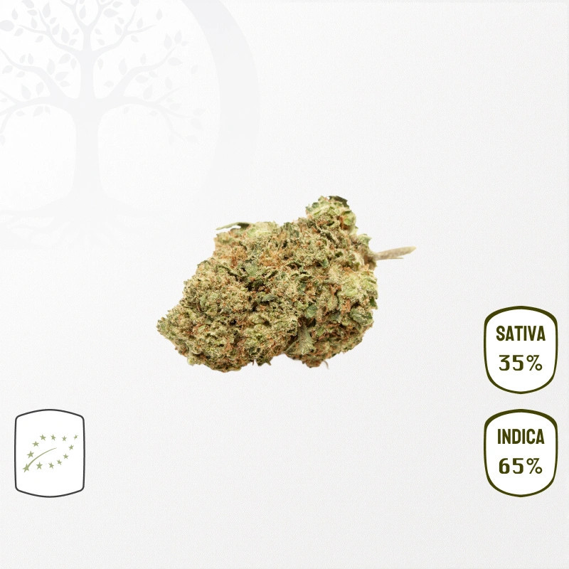Mango Kush BIO CBD