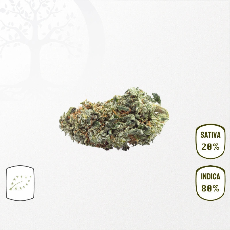 Wedding Cake BIO CBD