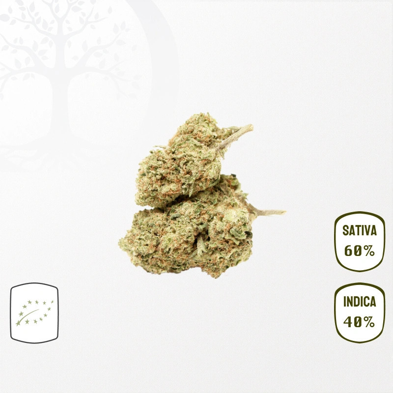 Fruit Spirit BIO CBD