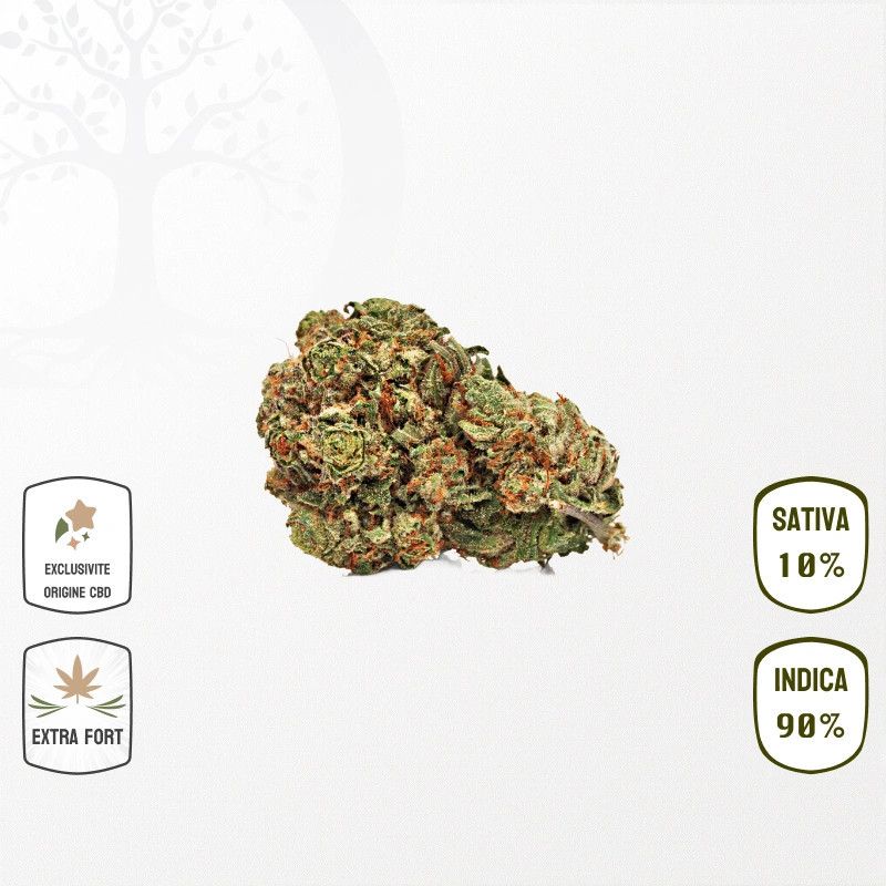 Wedding Gelato 30 % CPR