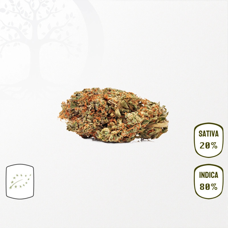 White Widow Haze BIO CBD
