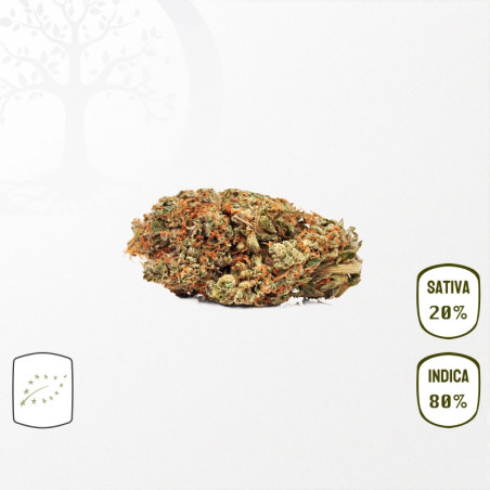White Widow Haze BIO CBD