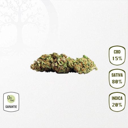 White Widow 15 % CBD (Sans THC)