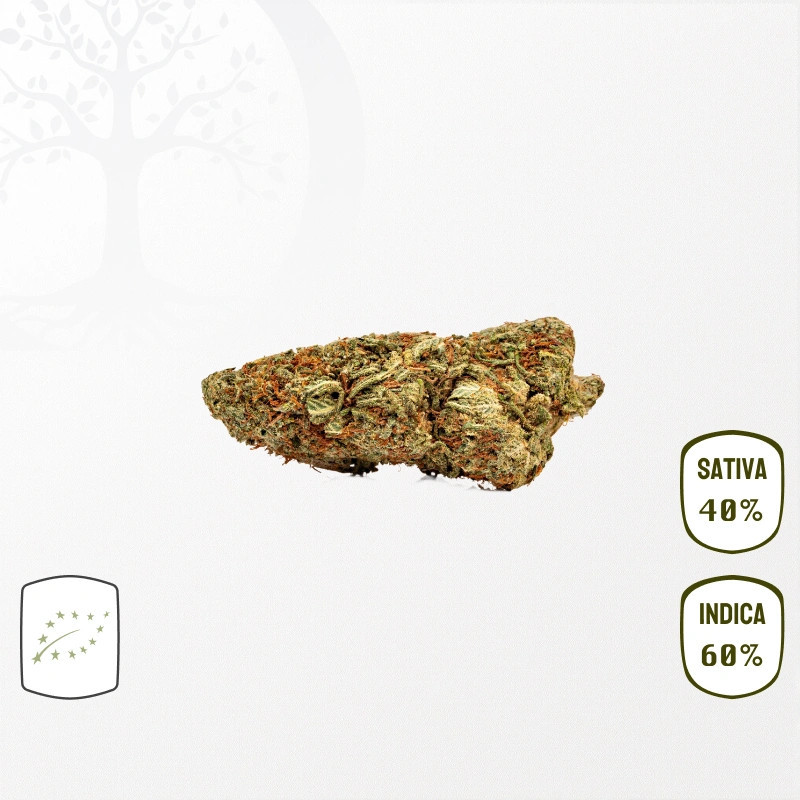 Gorilla Glue BIO CBD