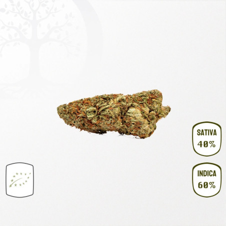 Gorilla Glue BIO CBD