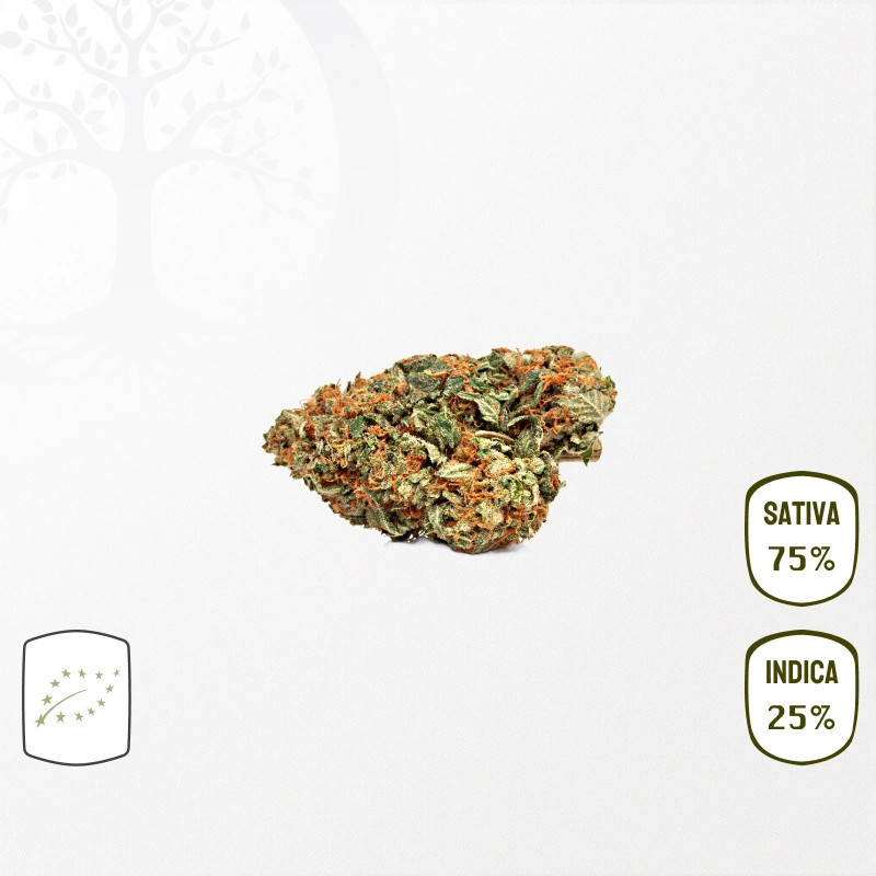 Strawberry Diesel BIO CBD 25 grammes
