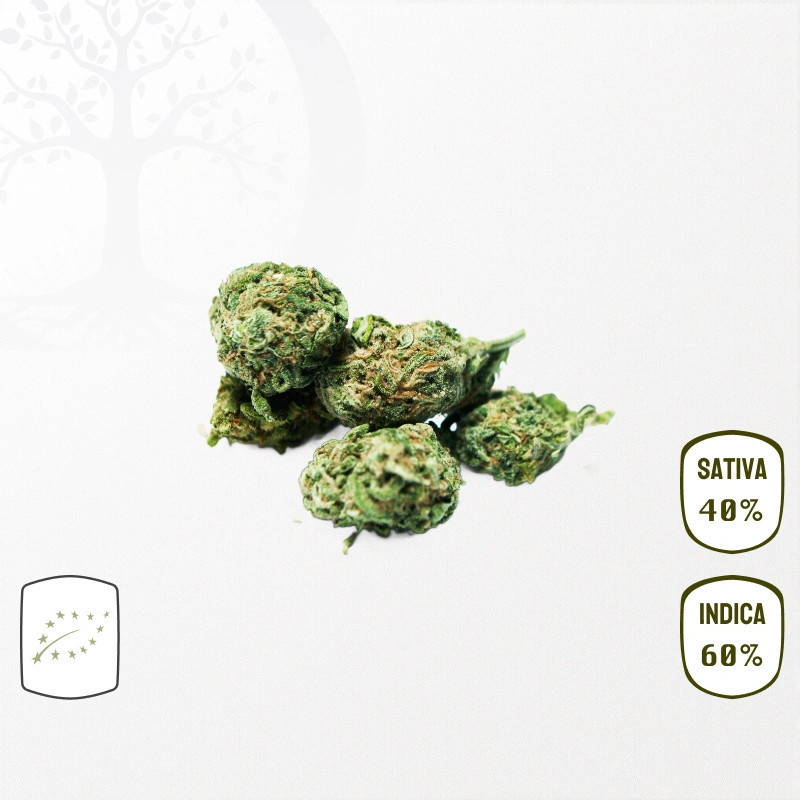 Banana Kush BIO CBD 25 grammes