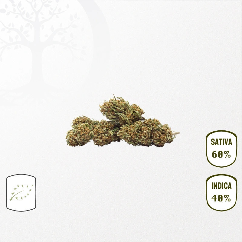 Sour Blueberry BIO CBD Small Buds 25 grammes