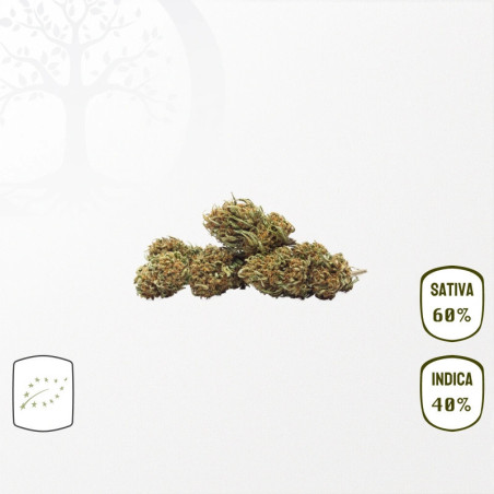 Sour Blueberry BIO CBD Small Buds 25 grammes