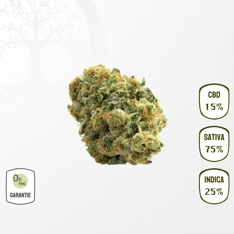 Amnesia 15 % CBD (Sans THC)