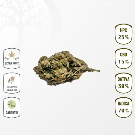 Mango Kush 15 % CBD & 25 % HPC (Sans THC)