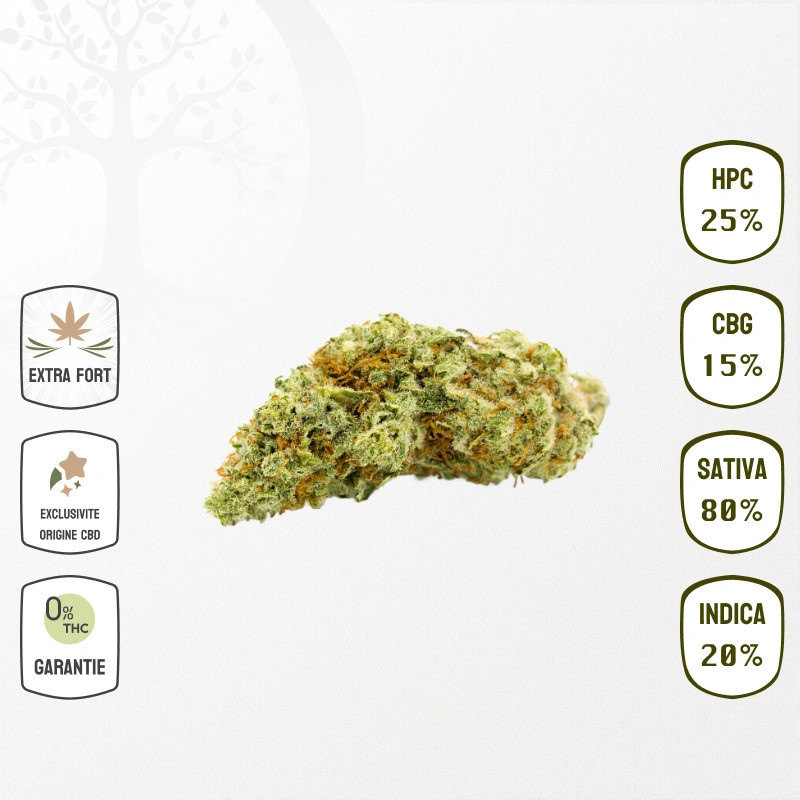 Silver Haze 15 % CBG & 25 % HPC (Sans THC)