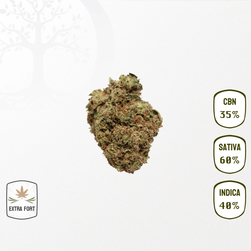 Watermelon Candy 35 % CBN