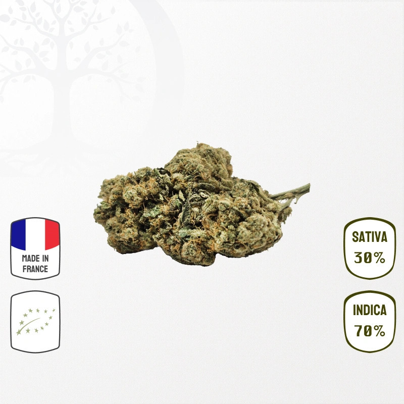 Green Poison BIO CBD