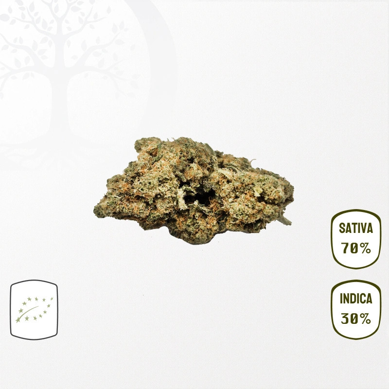Fleur Lemon Haze BIO CBD - Fleur Indoor Sativa - Origine CBD