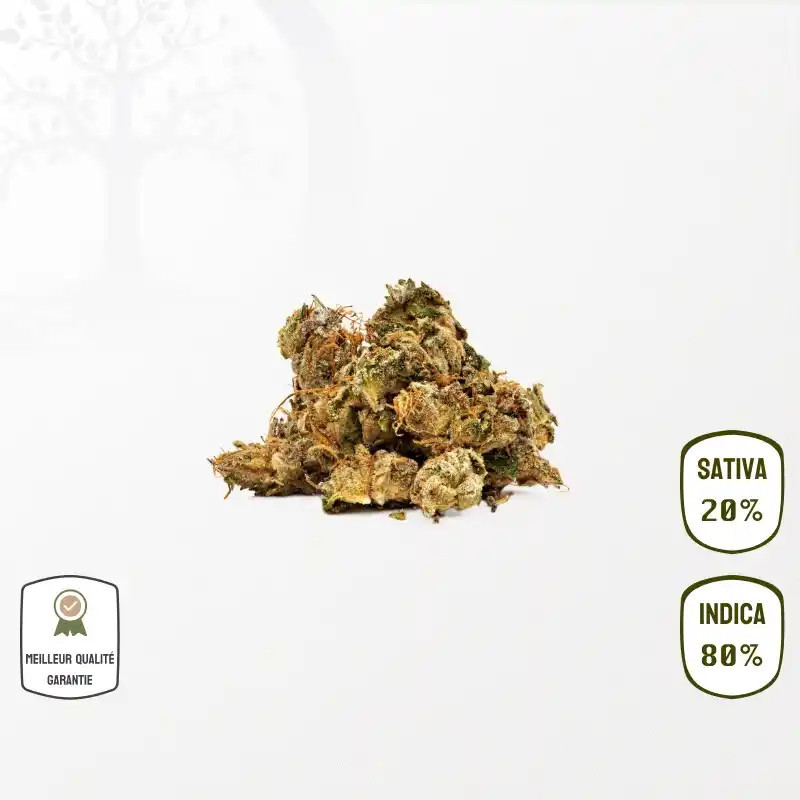Shiva Skunk Small Bud CBD – Indoor