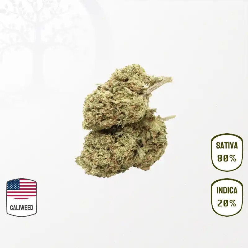 Ghost Train Haze Cali Weed CBD