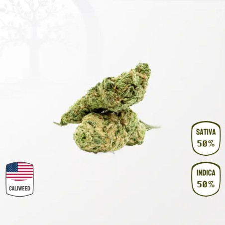 Royal Runtz Cali Weed CBD