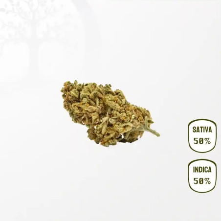 Tutti Frutti CBD 25 grammes