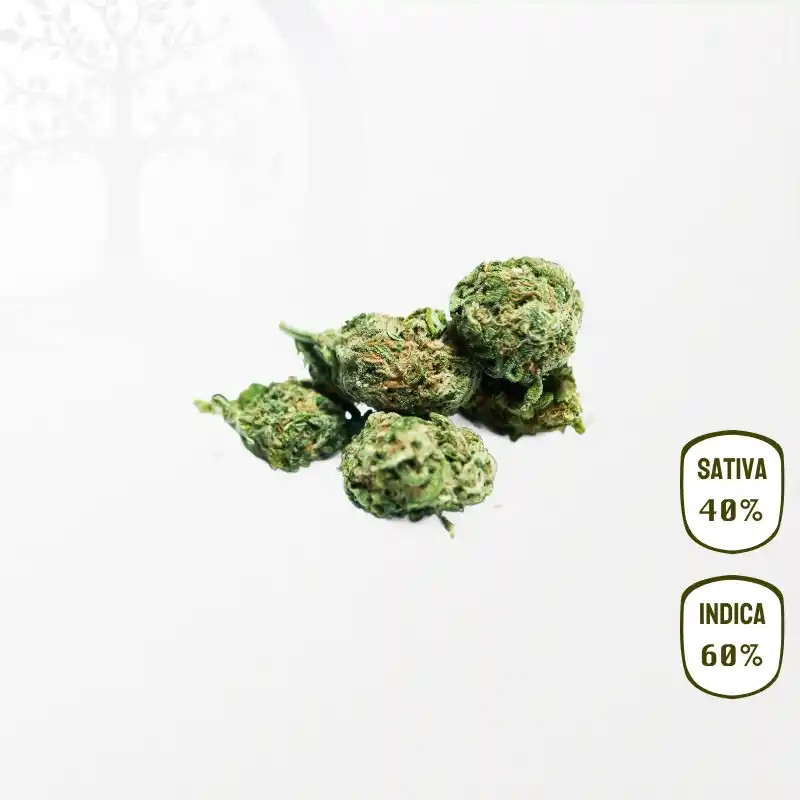 Banana Kush CBD 25 grammes