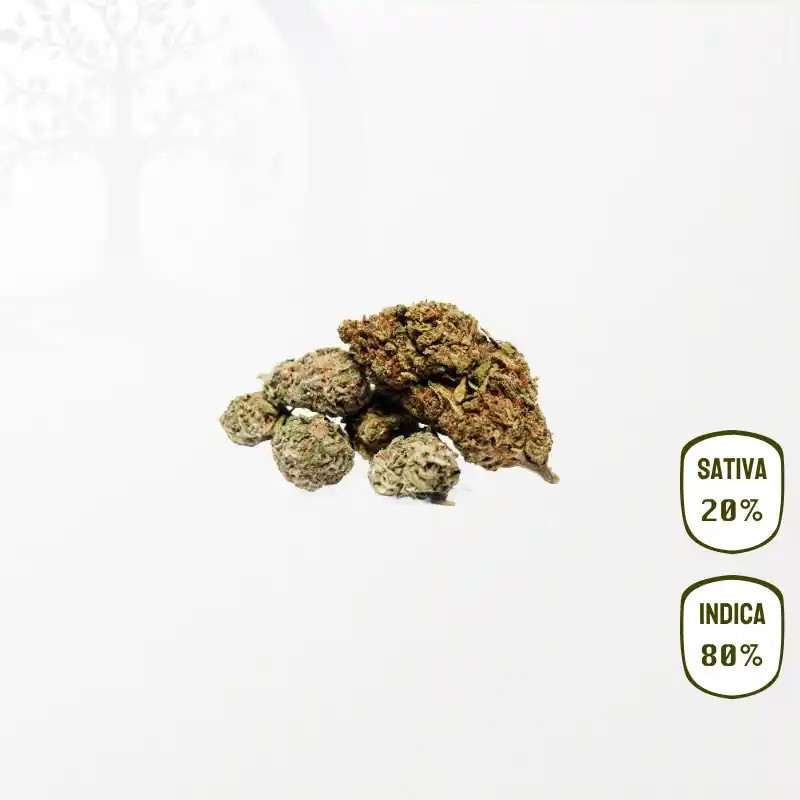 Critical Kush BIO CBD 25 grammes