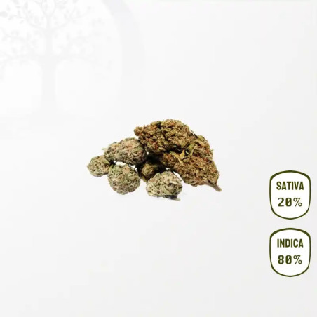 Critical Kush BIO CBD 25 grammes