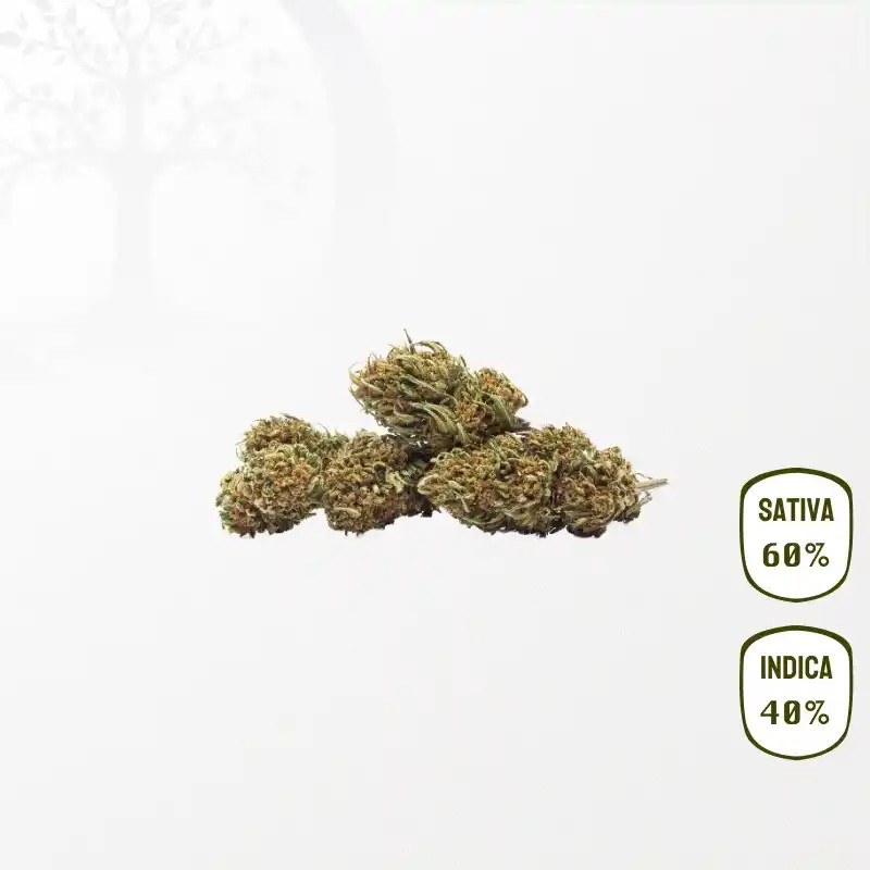 Sour Blueberry CBD Small Buds 25 grammes