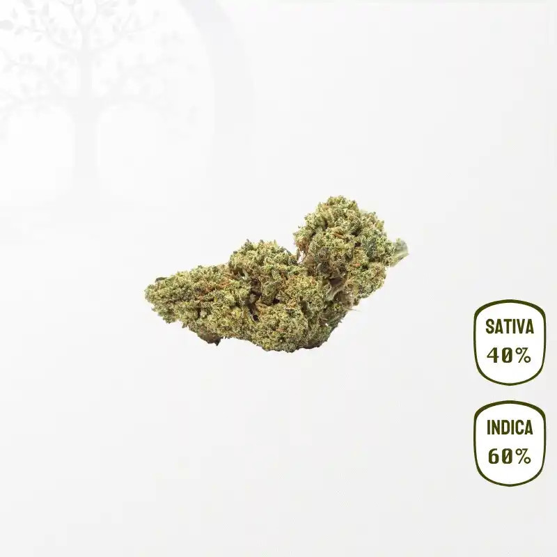 Banana Smash CBD