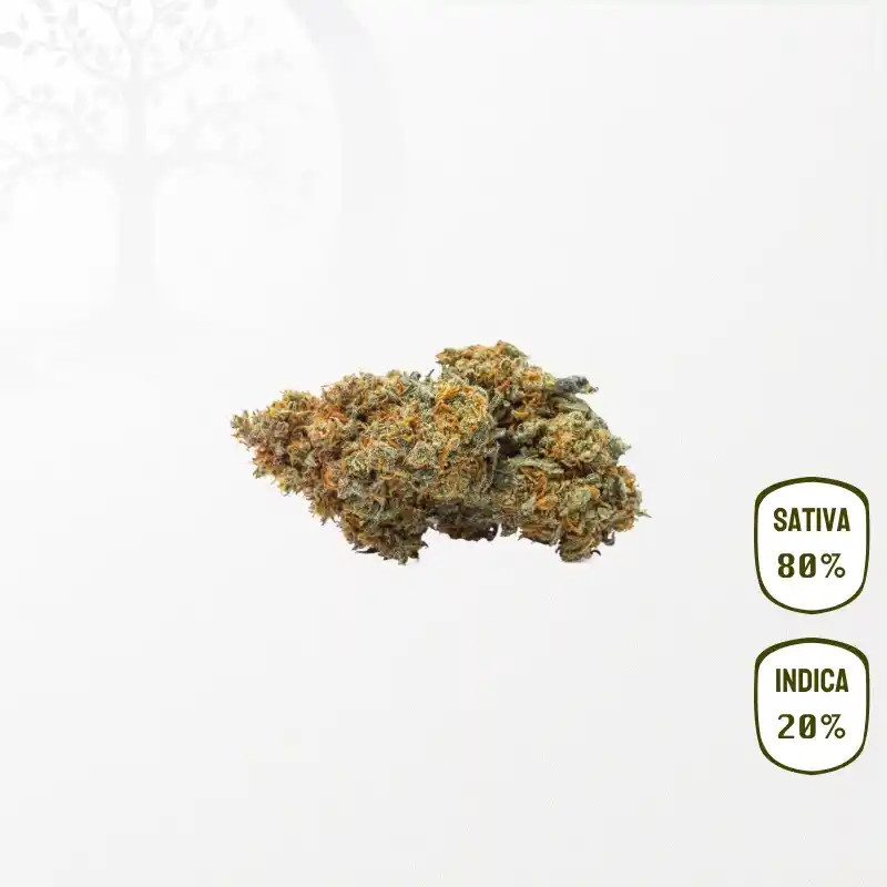 Purple Haze CBD