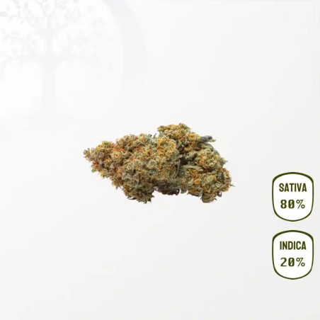 Purple Haze CBD
