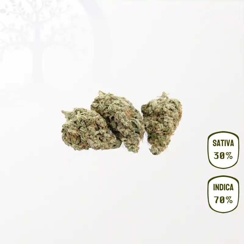 Alien Kush CBD