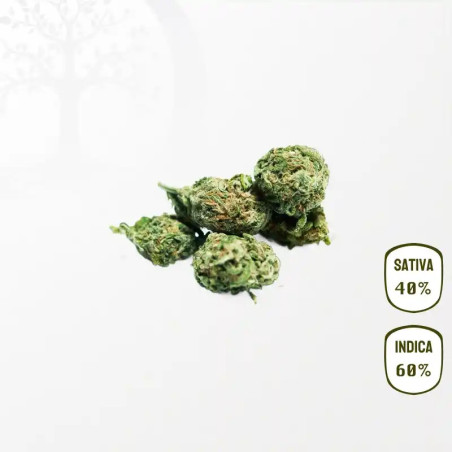 Banana Kush CBD