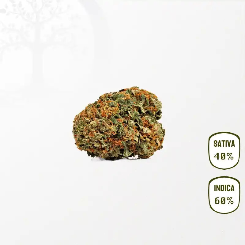 Blue Gelato : Fleurs CBD BIO Hybride 60% Indica / 40% Sativa