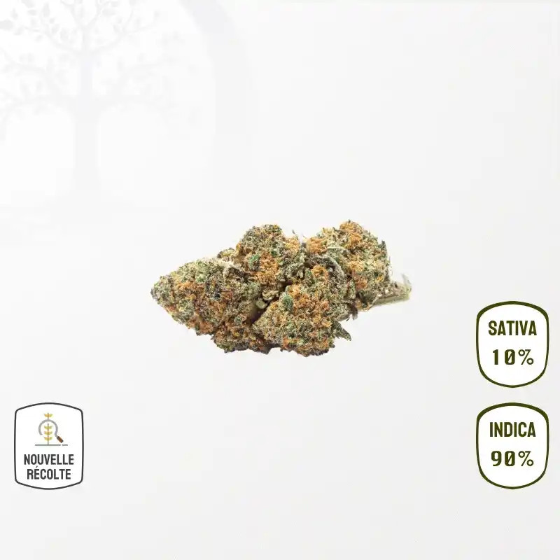 Northern Light CBD
