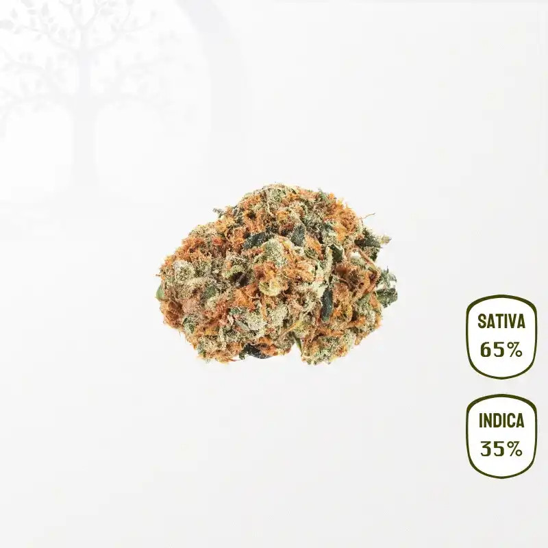 Bruce Banner CBD