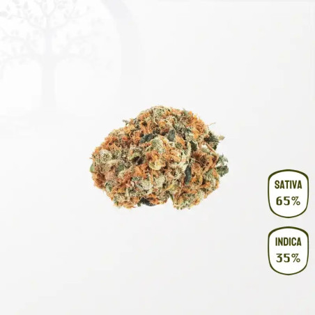 Bruce Banner CBD