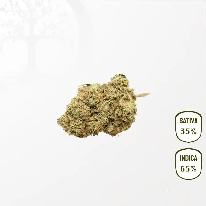 Mango Kush CBD