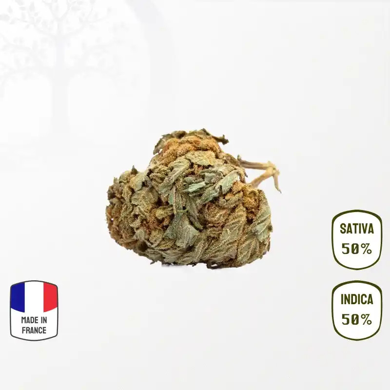 Bécassine CBD