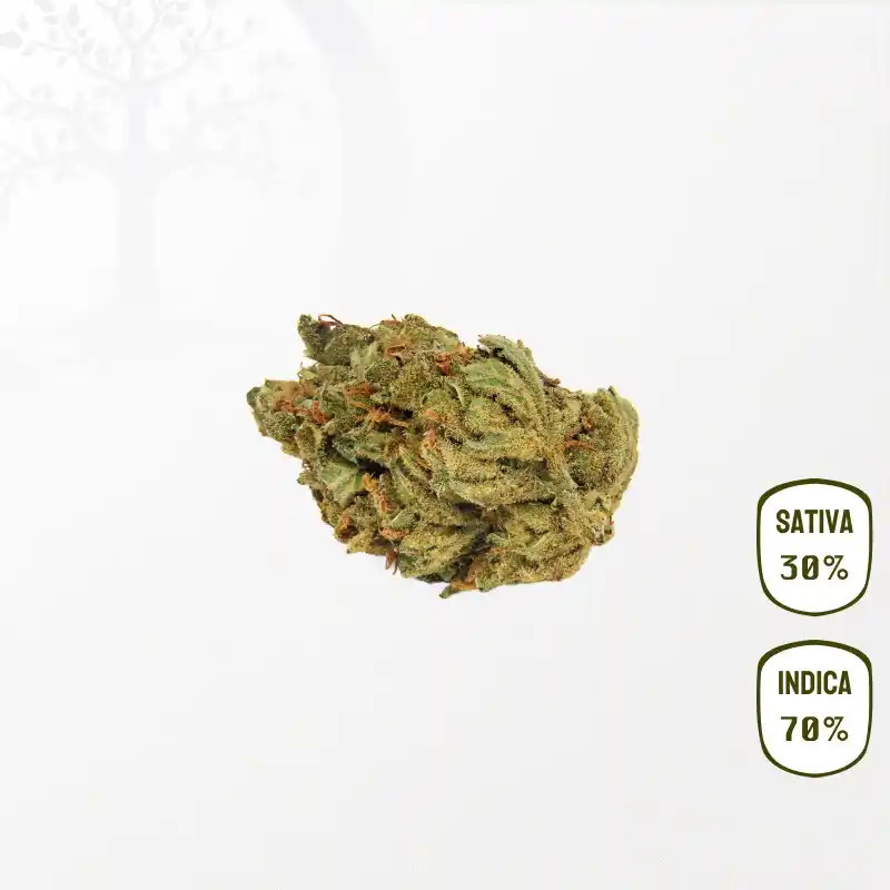 Black Sherb CBD
