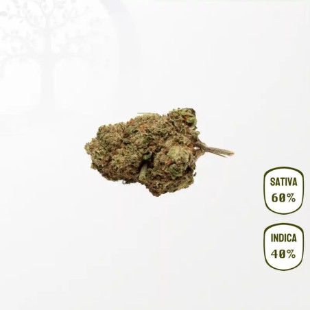 Lemon Candy CBD